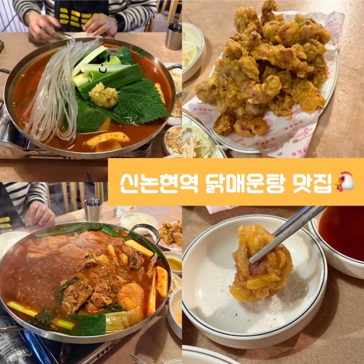  신논현역 술집 동명닭집 논현직영점 닭매운탕 하나로 평정하는 맛집