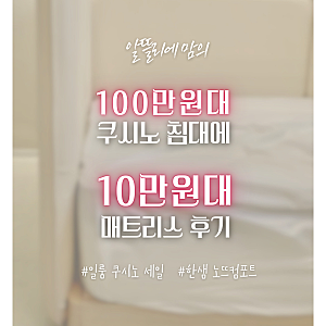 [데이베드]일룸쿠시노 밀크오트+한샘 노뜨컴포트 매트리스 2달 실사용 찐후기,(쿠시노 할인....