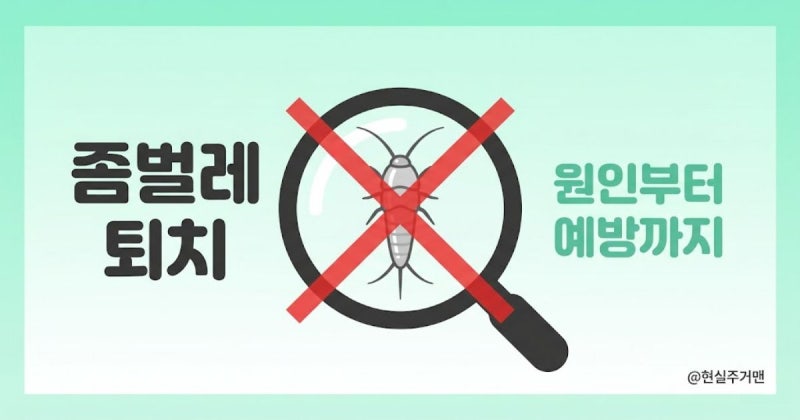 좀벌레 퇴치, 습기 제거만으로 안 되는 이유ㅣ원인부터 퇴치약·예방까지 총정리