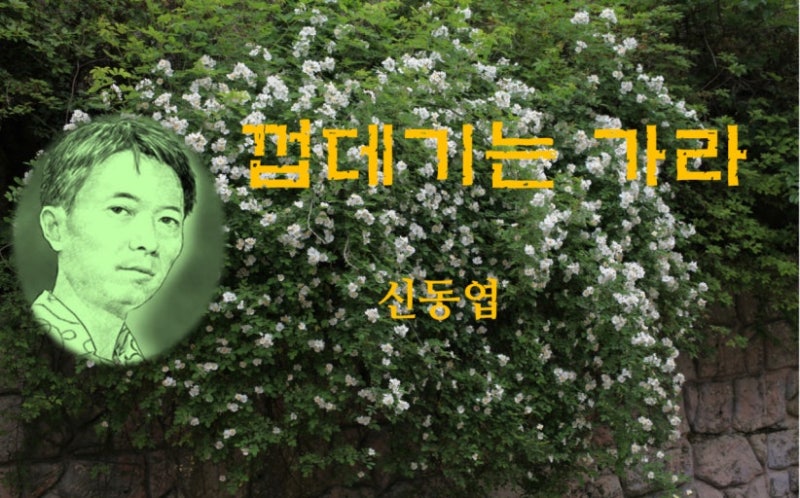 부여 가볼만한 곳 ,요즘 다시 읽히는 시인, 껍데기는 가라,신동엽 문학관 여행