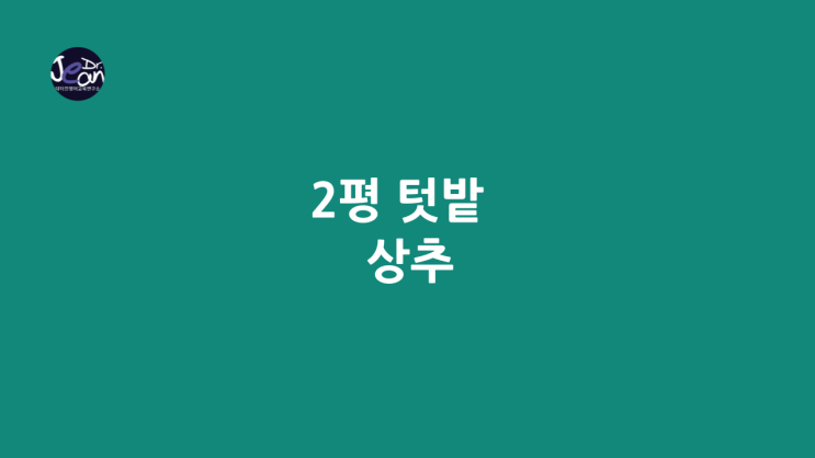 2평 텃밭 _상추
