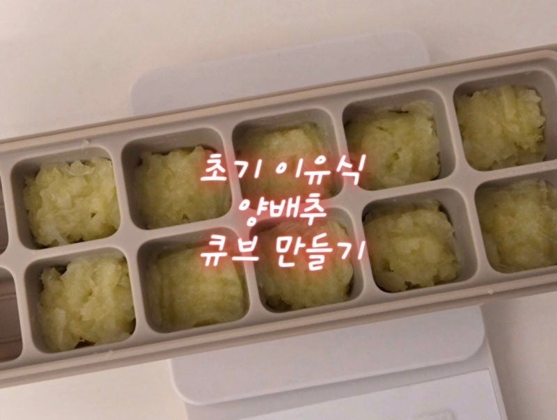 요알못 퍼기 찜기 간단히 초기 이유식 큐브만들기ㅣ양배추