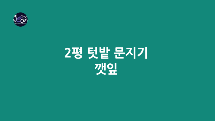  2평 텃밭 _깻잎