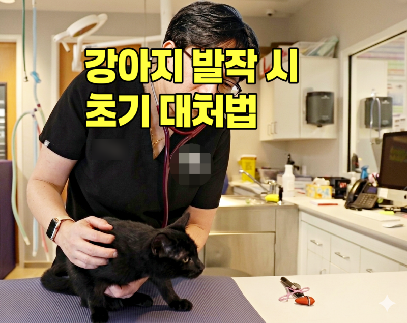 강아지 발작 경련 증상 시 초기대처법과 원인 진단 가이드