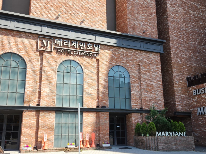 [청주숙박] 주차 편한 메리제인호텔 청주터미널호텔 후기 청주호텔조식 정보