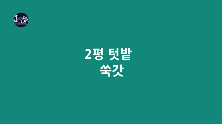  2평 텃밭 _쑥갓