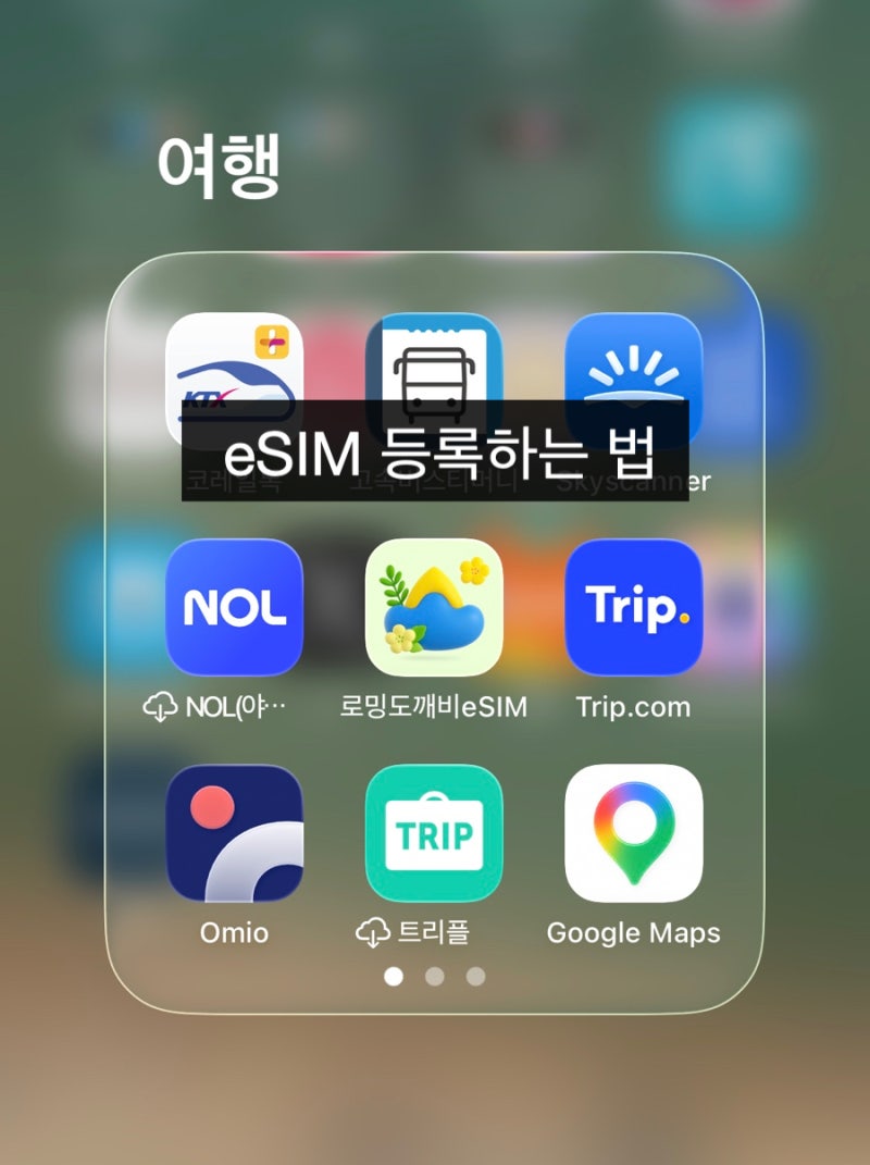 해외여행 유심 대신 e-sim 추천ㅣ로밍 도깨비 이심 등록 방법, 현지 사용 후기