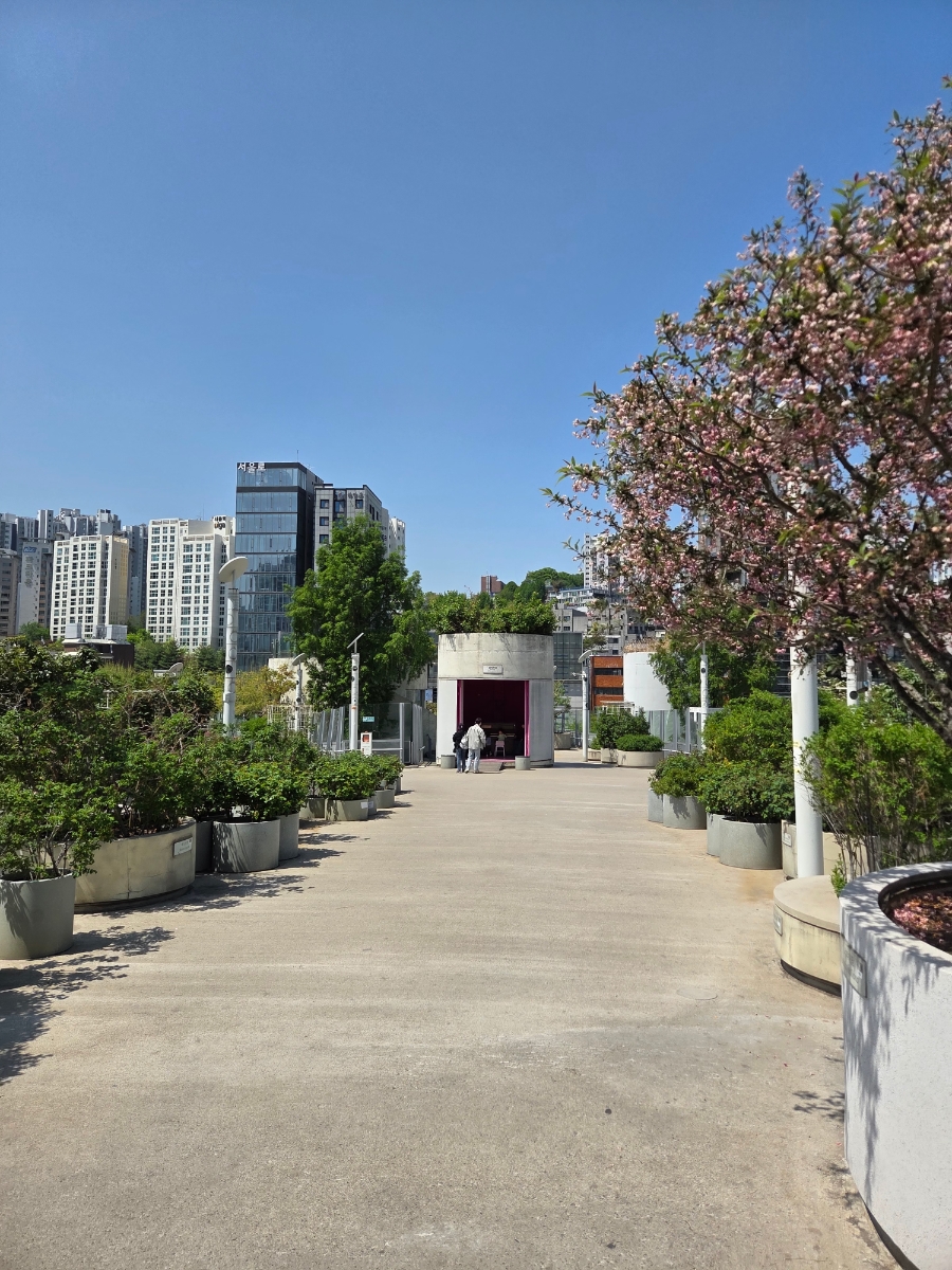 영덕물회막회 사진 1