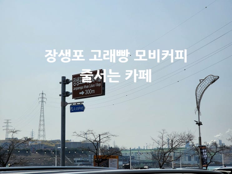  장생포고래마을 카페 고래빵 줄서는 모비커피