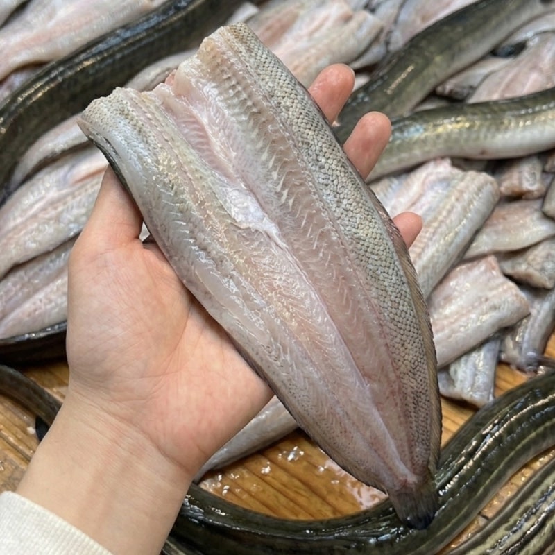 바다장어 손질 방법 비린내 없이 맛있게 먹는 팁