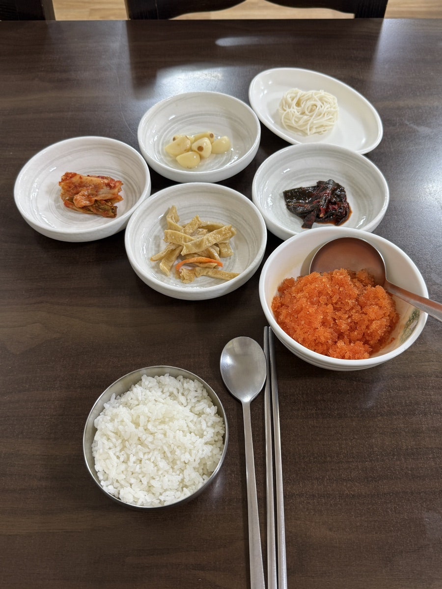 신화정참가자미 사진 4
