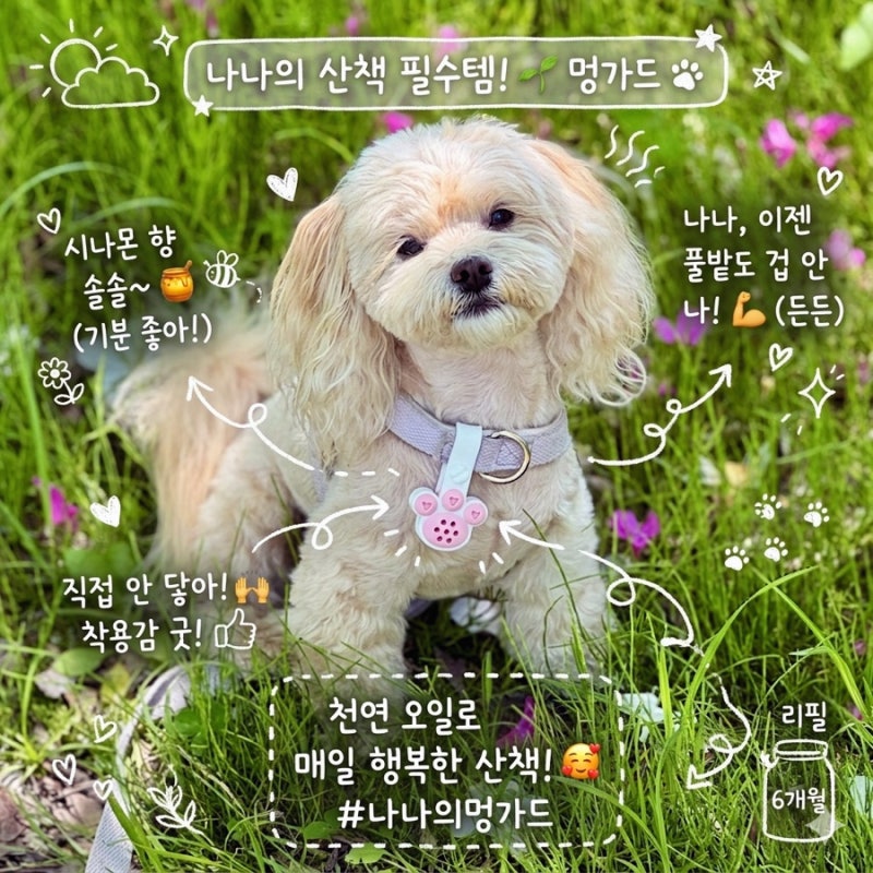 강아지진드기퇴치목걸이 멍가드 안전하고 편한 펜던트형 해충방지 클립 후기