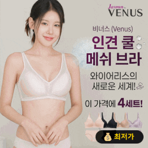 비너스 인견 쿨 메쉬 브라, 이 가격에 4세트나? 노와이어의 신세계!