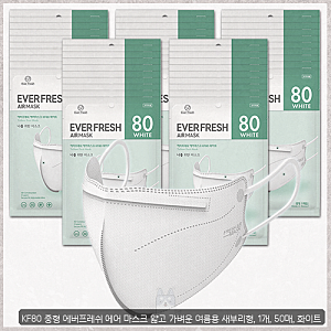 새부리형kf80 찾으시나요 에버프레쉬와 아에르 라이트핏 실사용 후기 정리