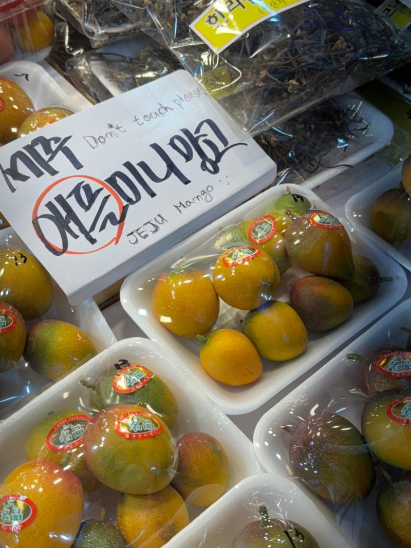 제주 동문시장 먹거리추천 :: 애플미니망고