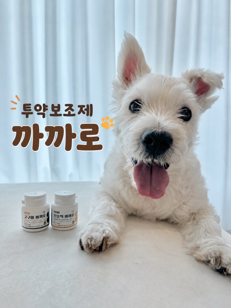 16살 심장병 노견 투약 스트레스 줄여준 방법, 까까만주 까까로 강아지투약보조제 고양이투....