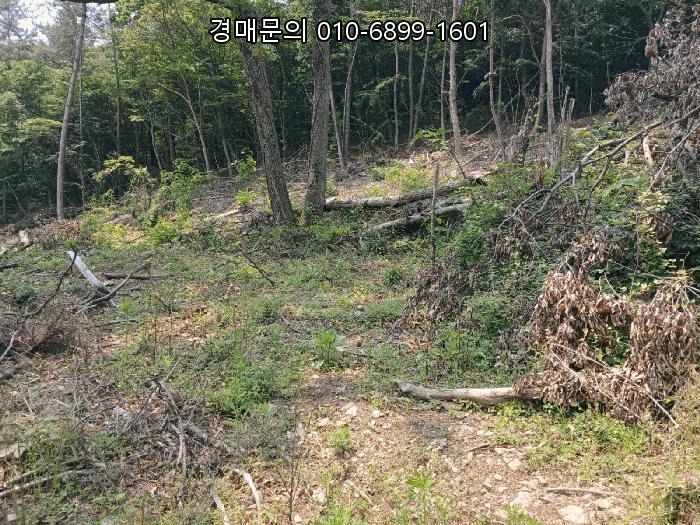  경상남도 남해군 창선면 상신리 579-1 근린주택, 안정적인 수익을 약속하는 법원경매 부동산 투자의 황금 기회! 2025-701