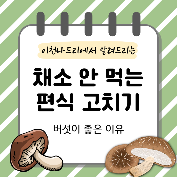  아이 편식 해결에 버섯이 좋은 이유 4가지 | 이천 버섯 체험 참목표고농원 추천