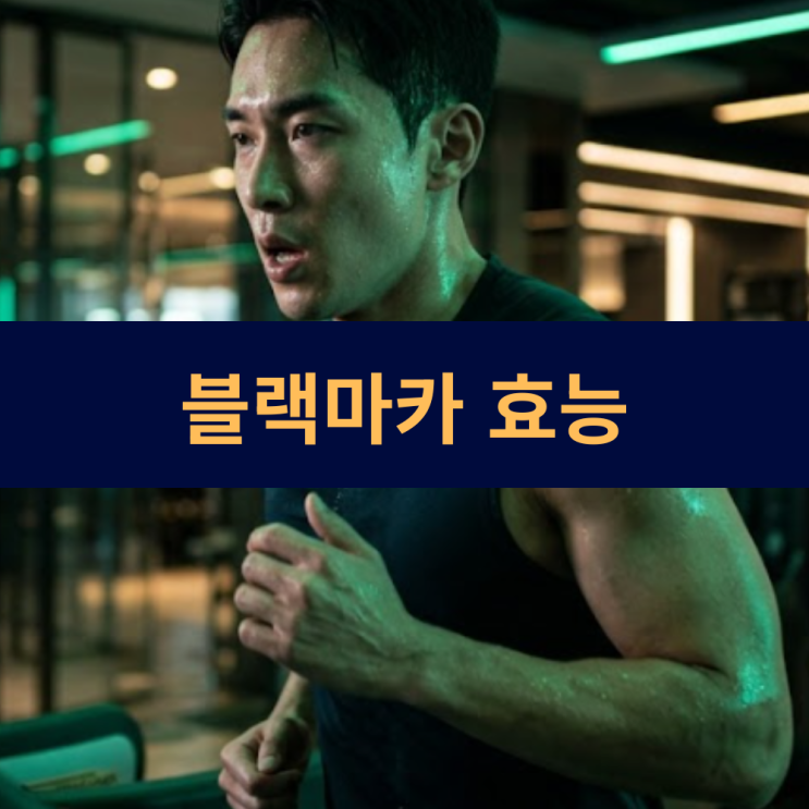  블랙마카 효능 익스트림 아르기닌 마늘추출물 야관문 효능