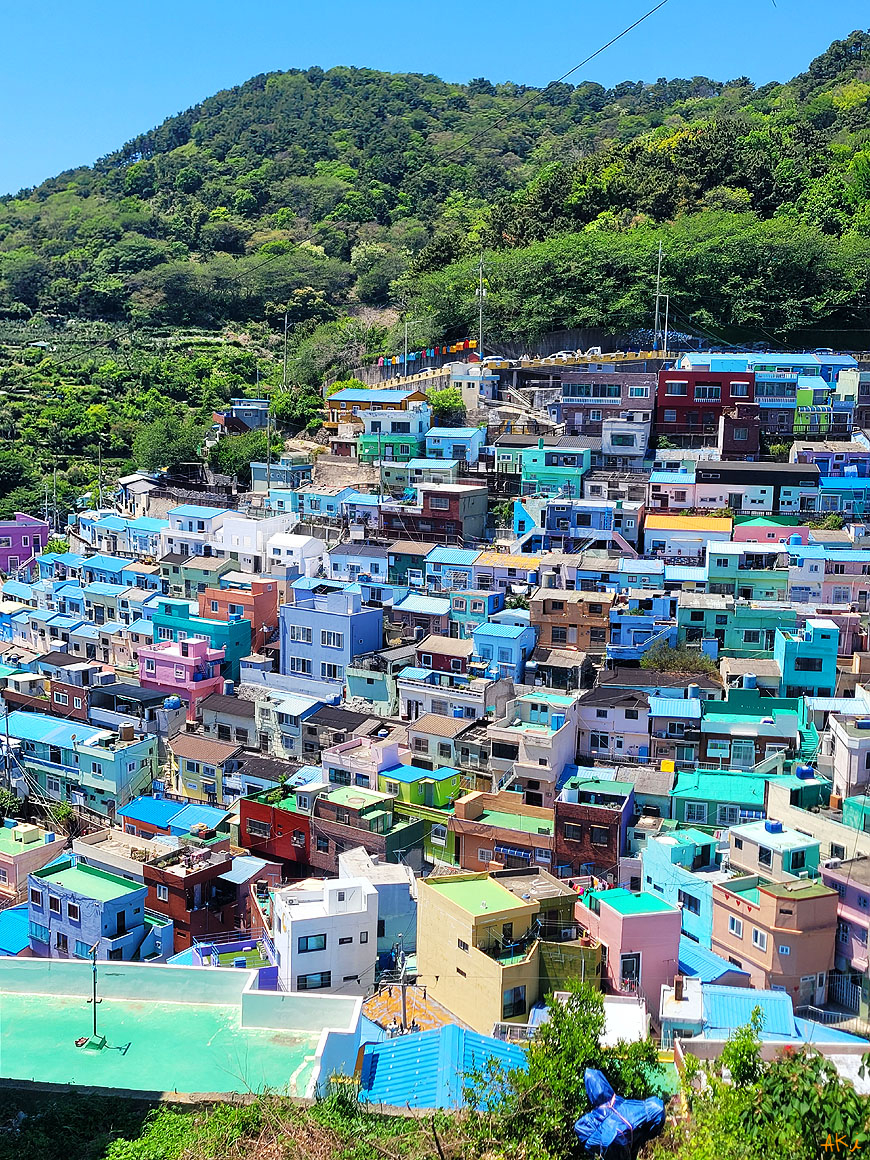 젤라또마을 사진 1