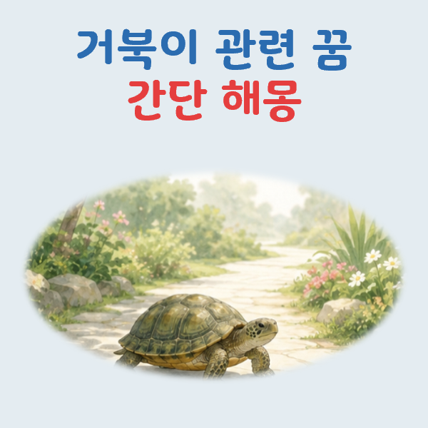 거북이 꿈해몽, 상황별 의미와 태몽 풀이