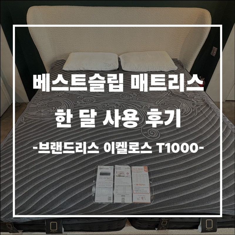 신혼 첫 가구, 침대 구매 | 브랜드리스 이켈로스 라지킹 매트리스 구매부터 한 달 사용 후기....
