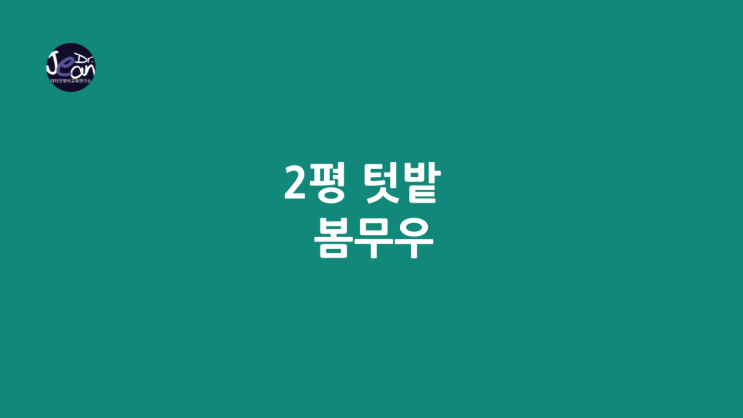  2평 텃밭 _봄무우