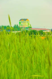 Beodeunamuyuwonji photo 3