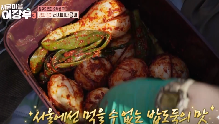  시골마을이장우3