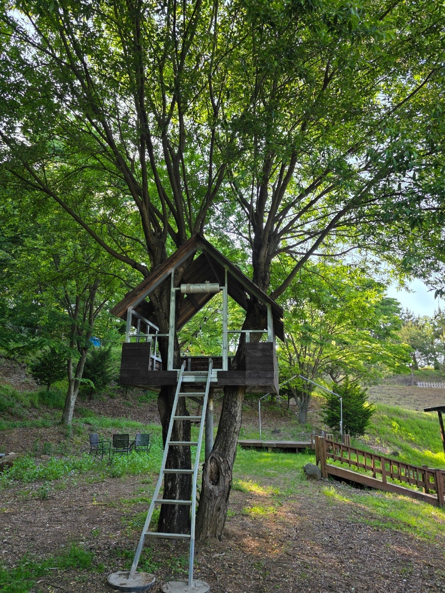 토성산 사진 4