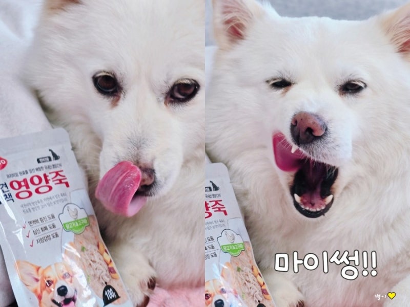 강아지보양식 고구마 닭죽 펫퍼스 애견비책 영양죽