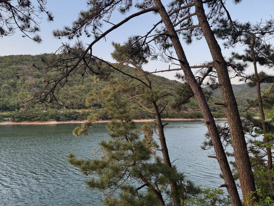 산수갑산 사진 6