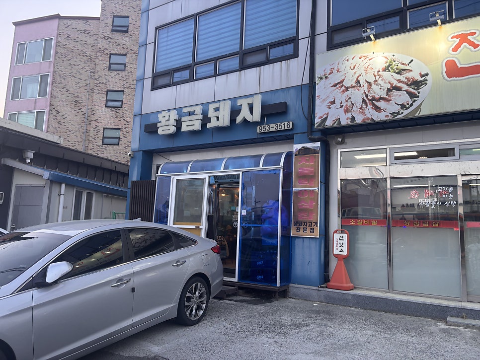 황금돼지 사진 2
