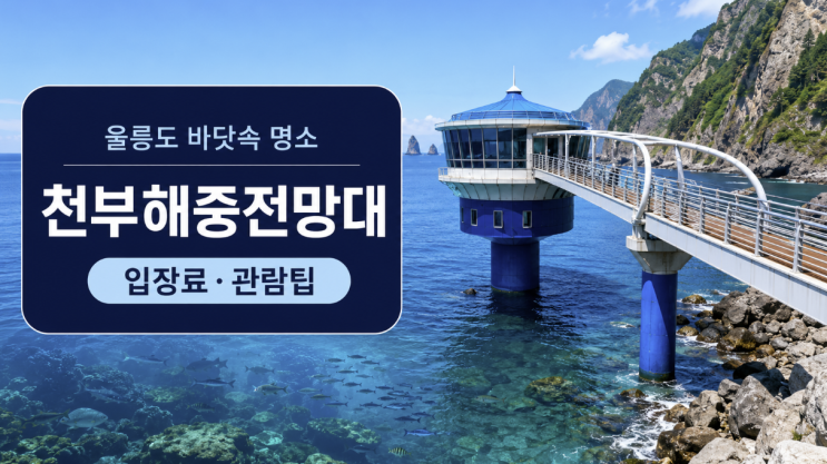  울릉도 천부해중전망대 입장료와 관람팁