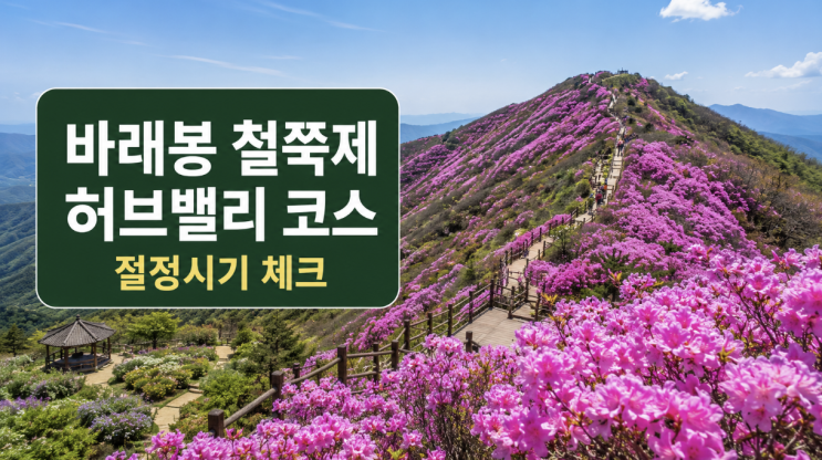  바래봉 철쭉제 절정시기와 허브밸리 코스