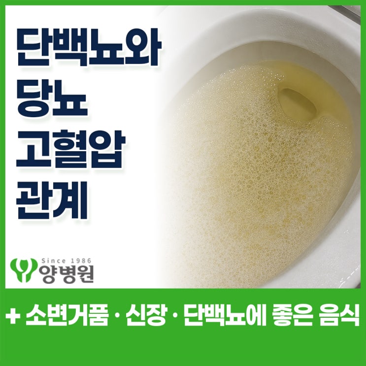  단백뇨 · 당뇨 · 고혈압 관계 – 소변 거품, 신장 손상 신호일 수 있습니다 | 강동구 건강검진센터