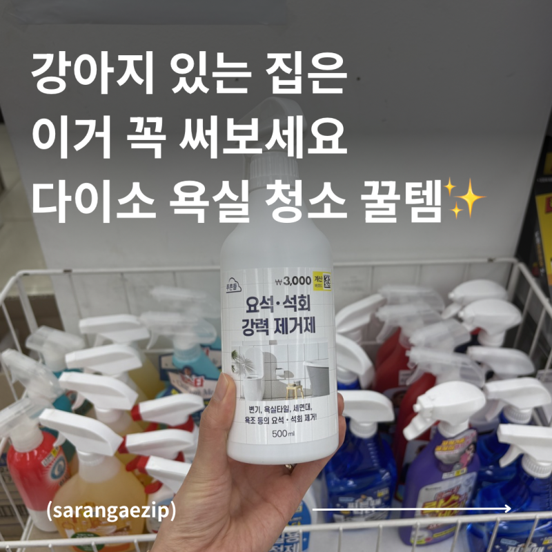 품절 대란 다이소 요석 석회 제거제 | 욕실 물때 청소 꿀템 추천| 강아지 있는 집은 필수네요