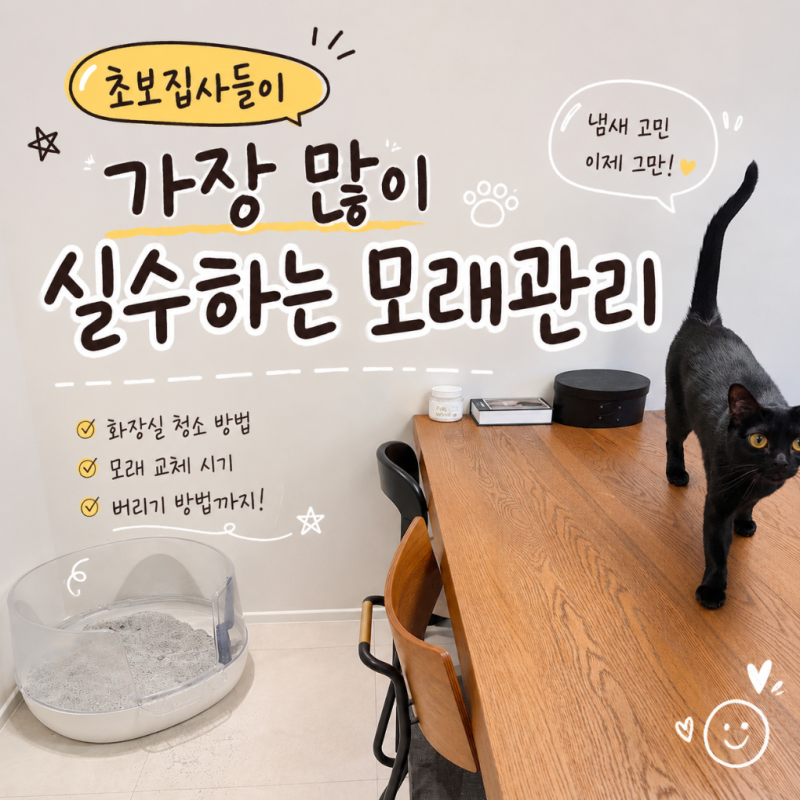 고양이 화장실 청소 방법, 모래 교체 시기 버리기 팁