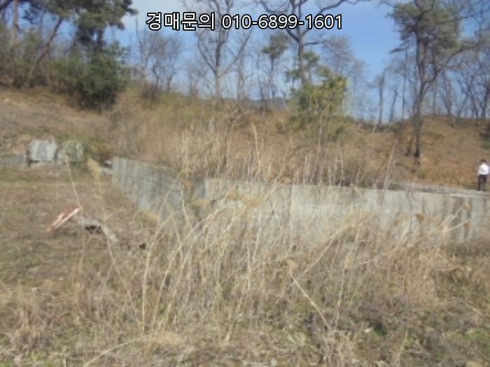  충청북도 음성군 감곡면 상우리 대규모 단독주택 및 토지 경매, 법정지상권 쟁점 분석 후 시세차익 도전! 2024타경982