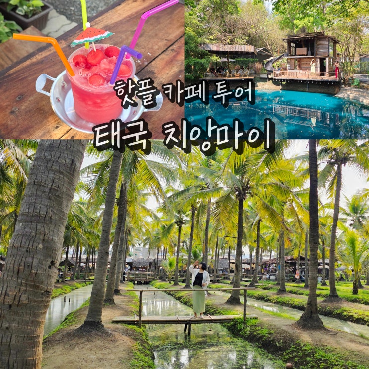 태국 치앙마이 여행 코코넛마켓 핫플 카페 4박6일 패키지 일정