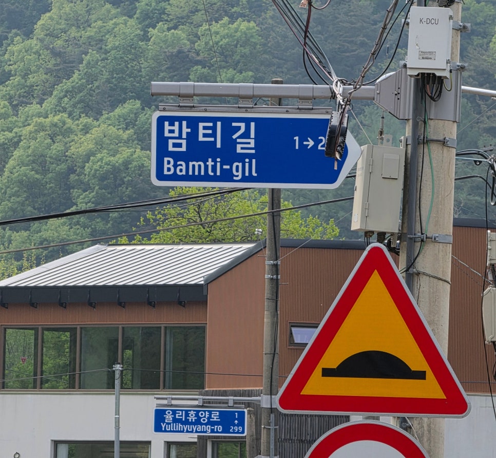 손두부촌식당 사진 3