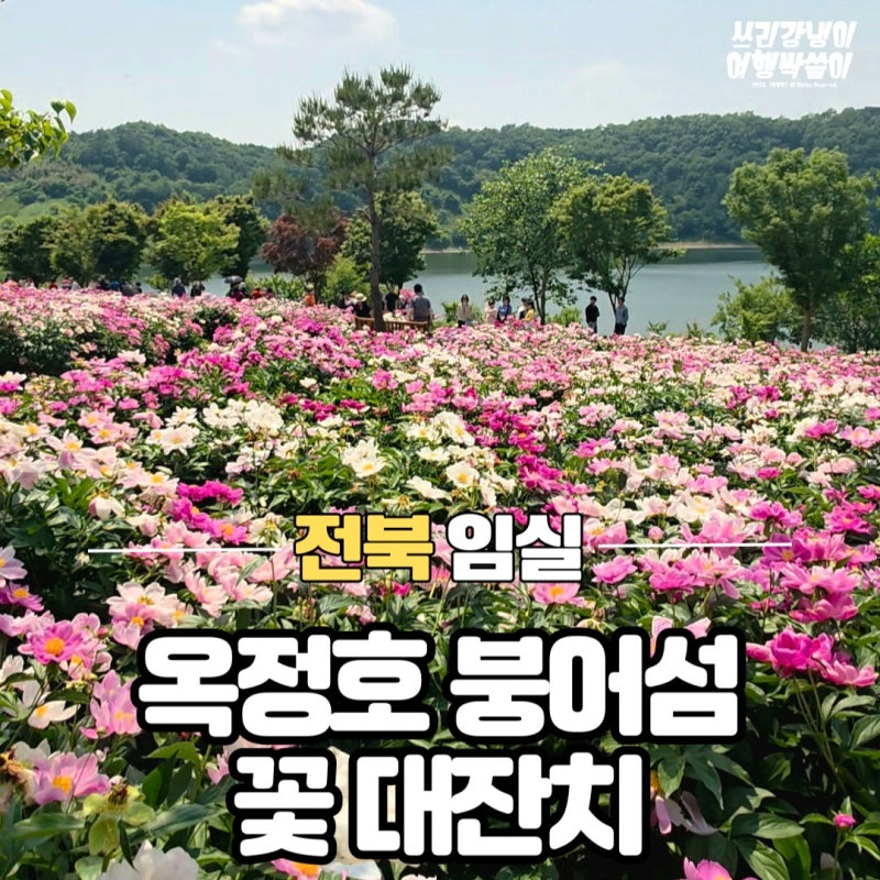임실 가볼만한곳 옥정호 출렁다리 붕어섬생태공원 입장료 할인받는 법