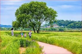Beodeunamuyuwonji photo 4