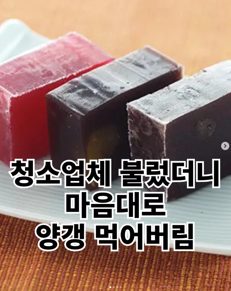  청소업체 불렀더니 마음대로 양갱 먹어버림