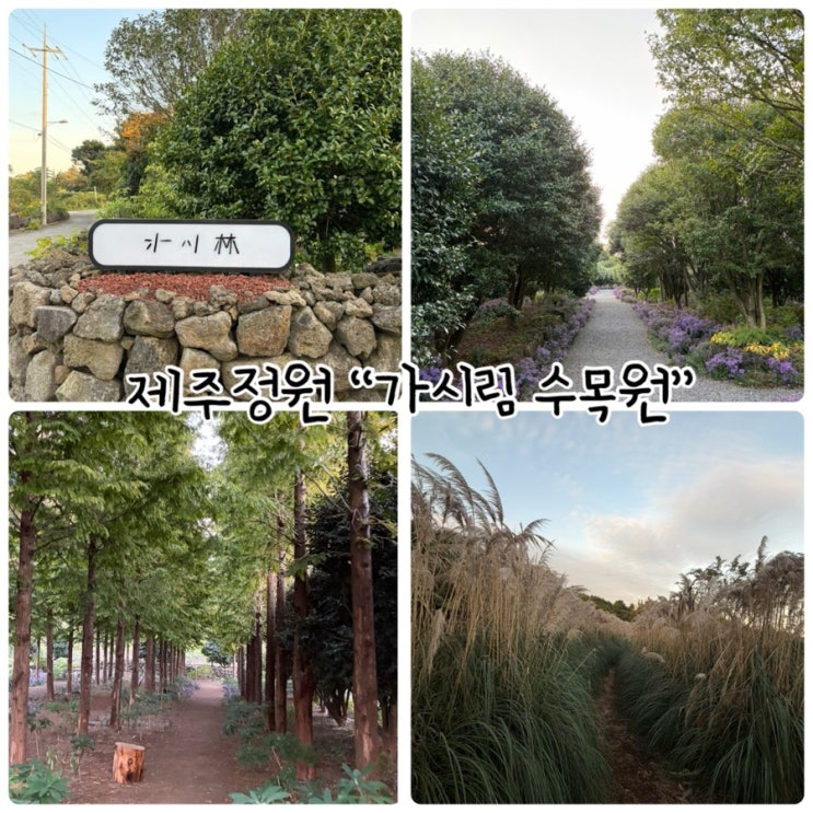  제주 정원 "가시림 수목원" 일상에서 벗어나 자연과 함께하는 쉼