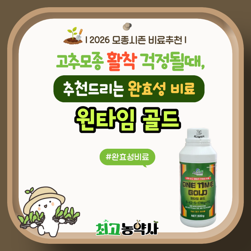 고추모종 활착 걱정될 때 추천드리는 완효성비료 ‘원타임골드’ 대구달성군....