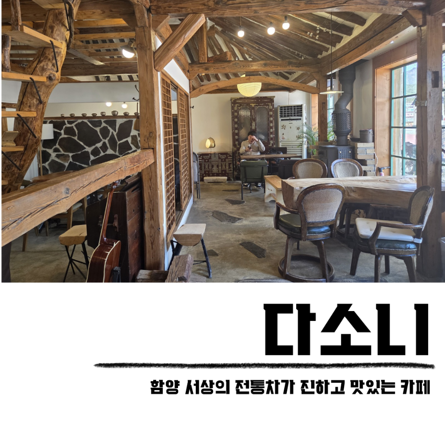 다소니 사진 1