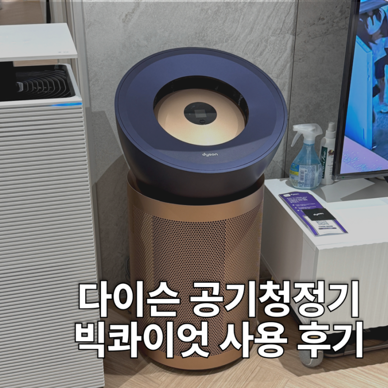 다이슨 공기청정기 빅콰이엇 6개월 사용 후기 필터 교체 시기 및 평수 정보