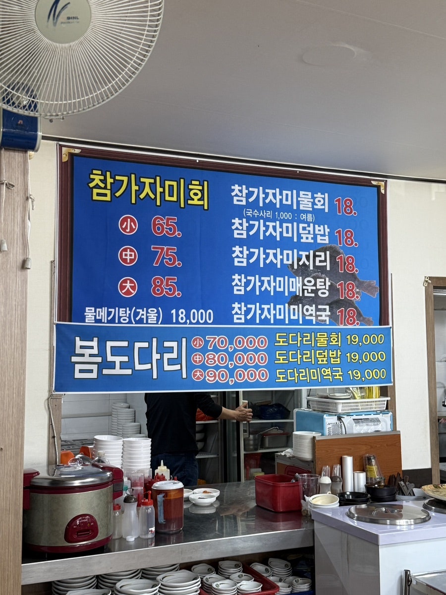 신화정참가자미 사진 3