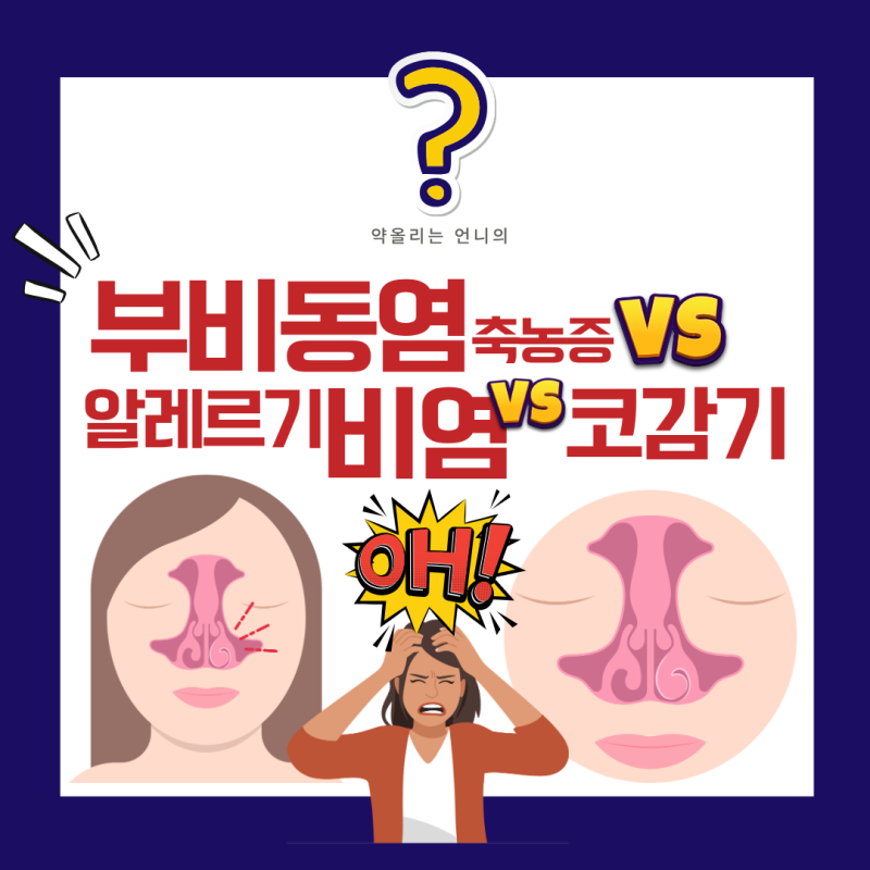 알레르기 비염 vs 감기 vs 부비동염(축농증)헷갈리는 코 증상! 완벽분석